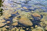 Clear Water_23241